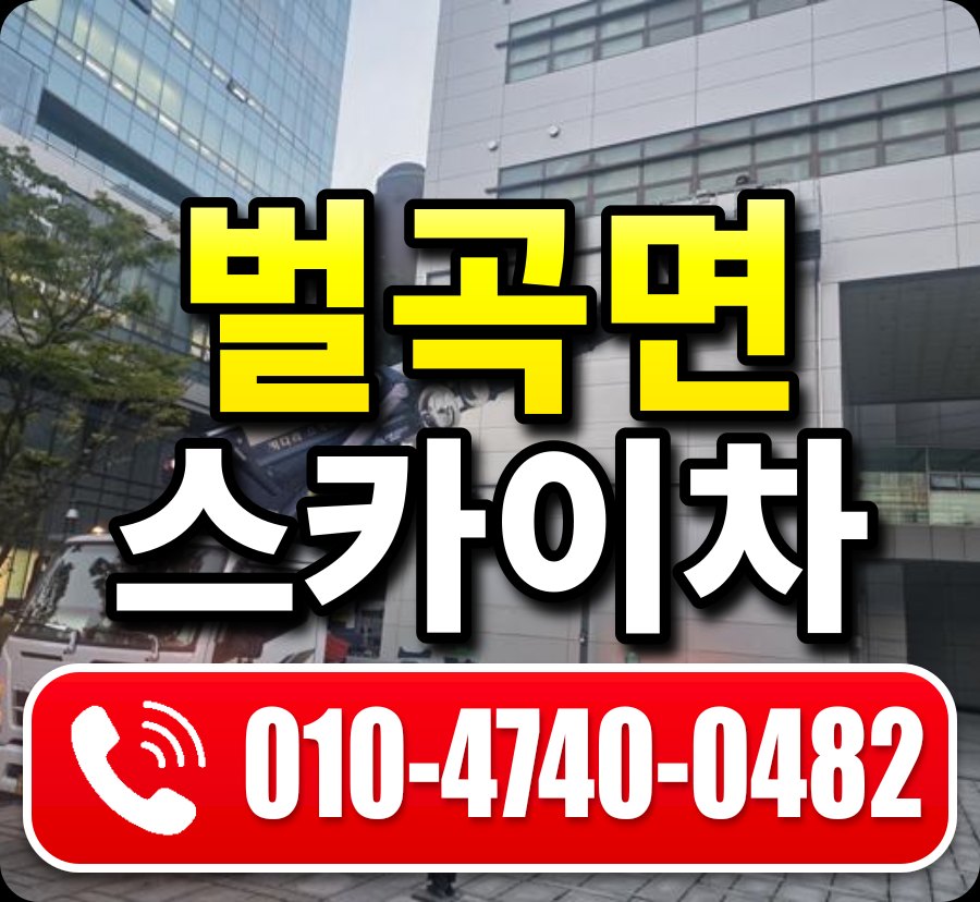 벌곡면 스카이차 010-4740-0482