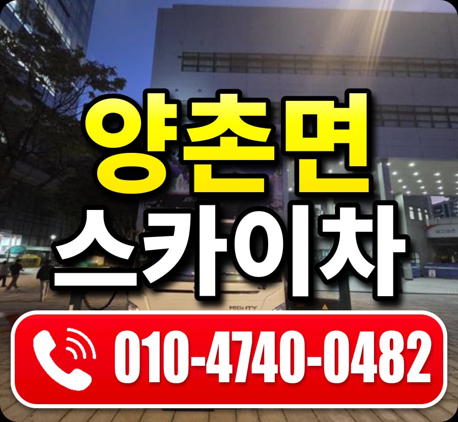 양촌면 스카이차 010-4740-0482