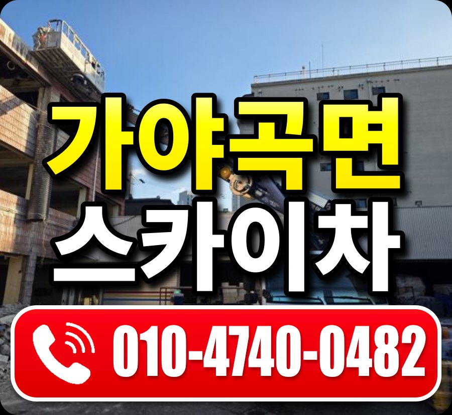 가야곡면 스카이차 010-4740-0482