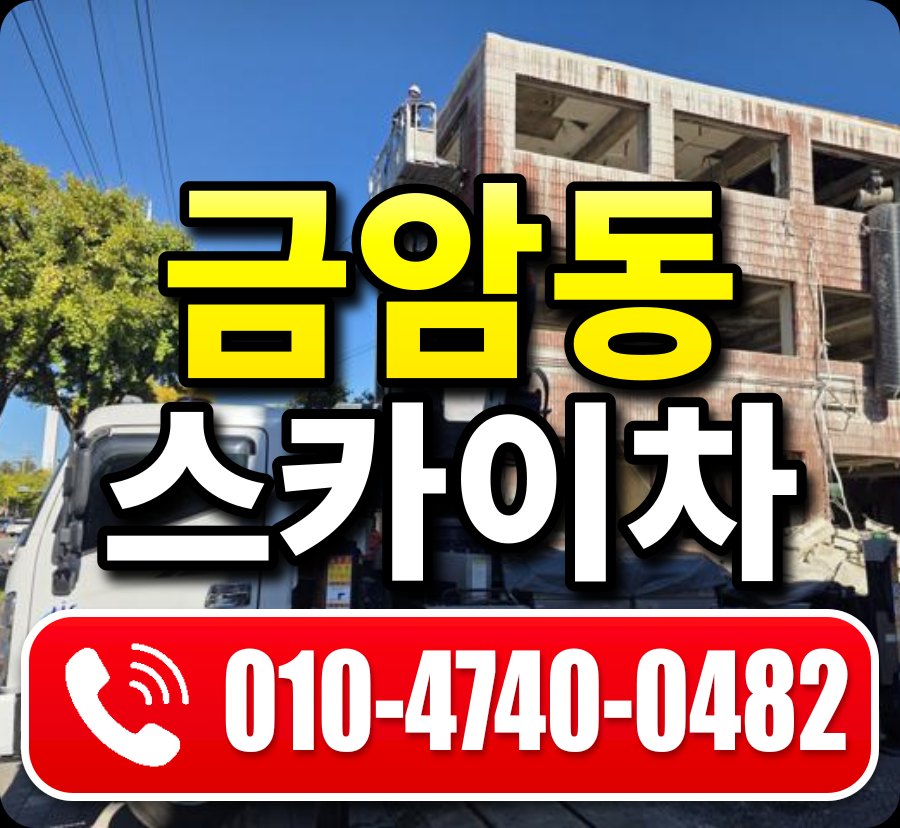 금암동 스카이차 010-4740-0482