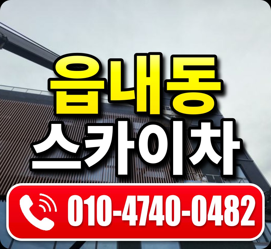 읍내동 스카이차 010-4740-0482