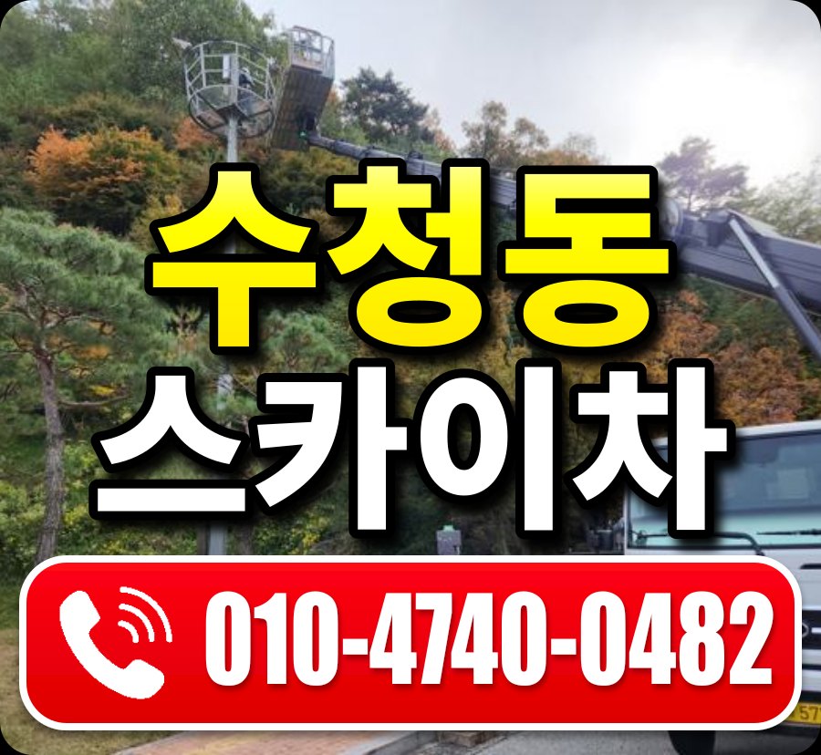 수청동 스카이차 010-4740-0482