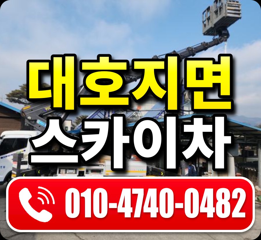 대호지면 스카이차 010-4740-0482