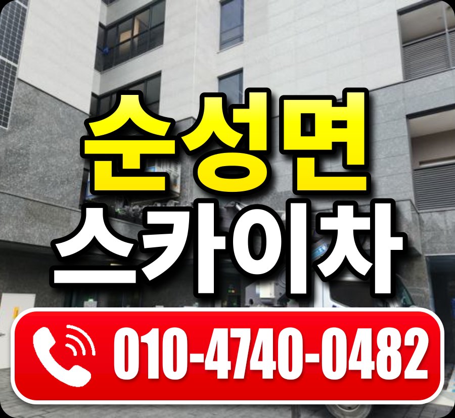 순성면 스카이차 010-4740-0482