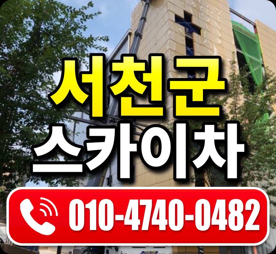 서천군 스카이차 010-4740-0482
