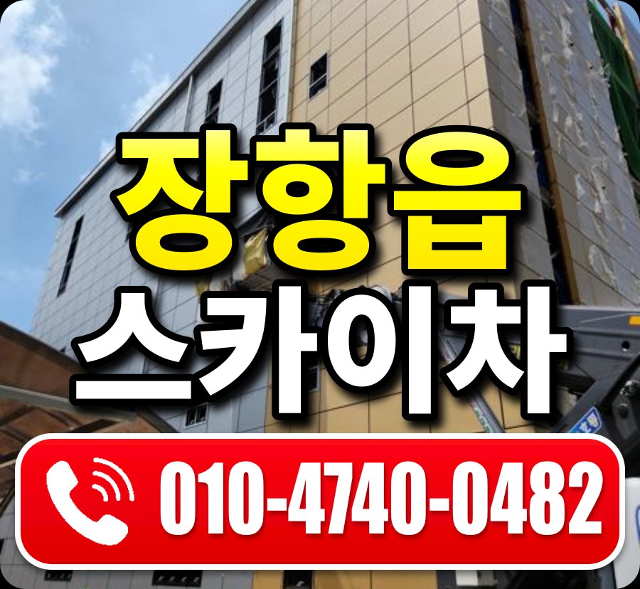 장항읍 스카이차 010-4740-0482