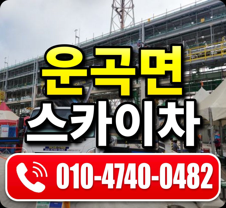 운곡면 스카이차 010-4740-0482