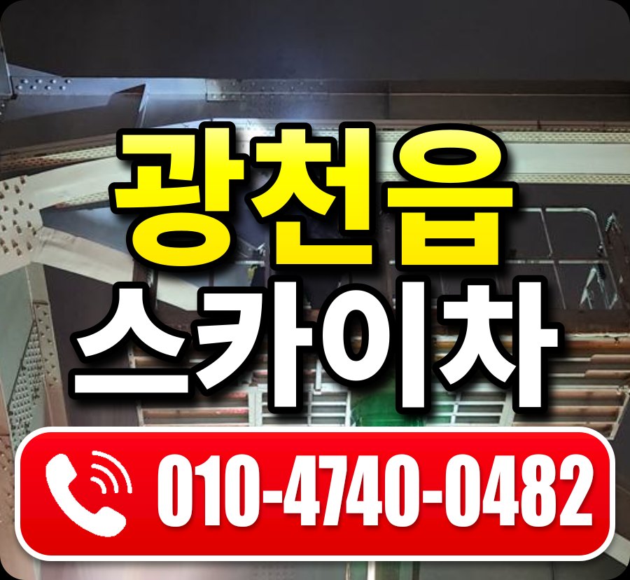 광천읍 스카이차 010-4740-0482