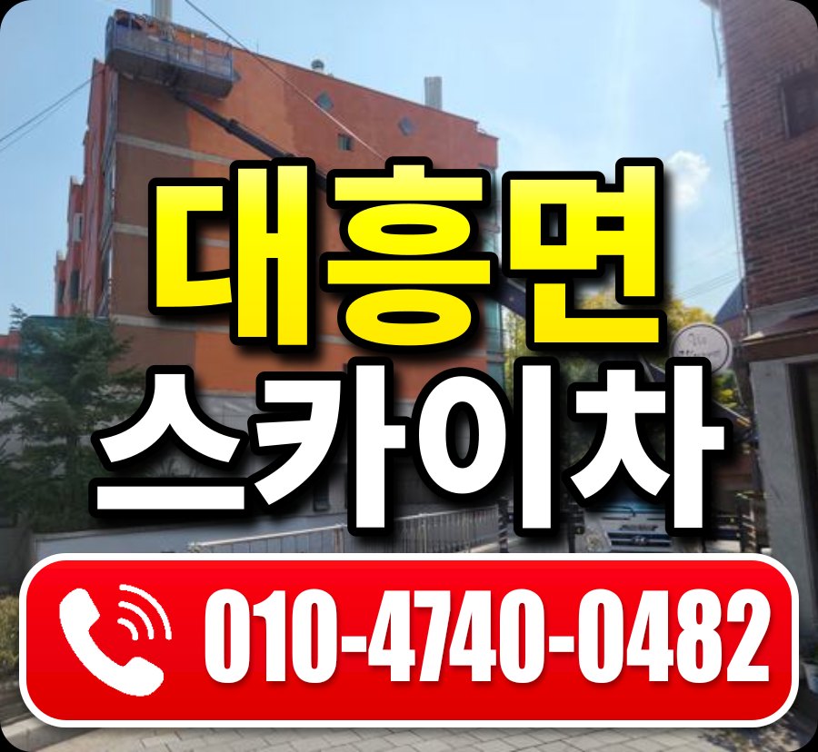 대흥면 스카이차 010-4740-0482