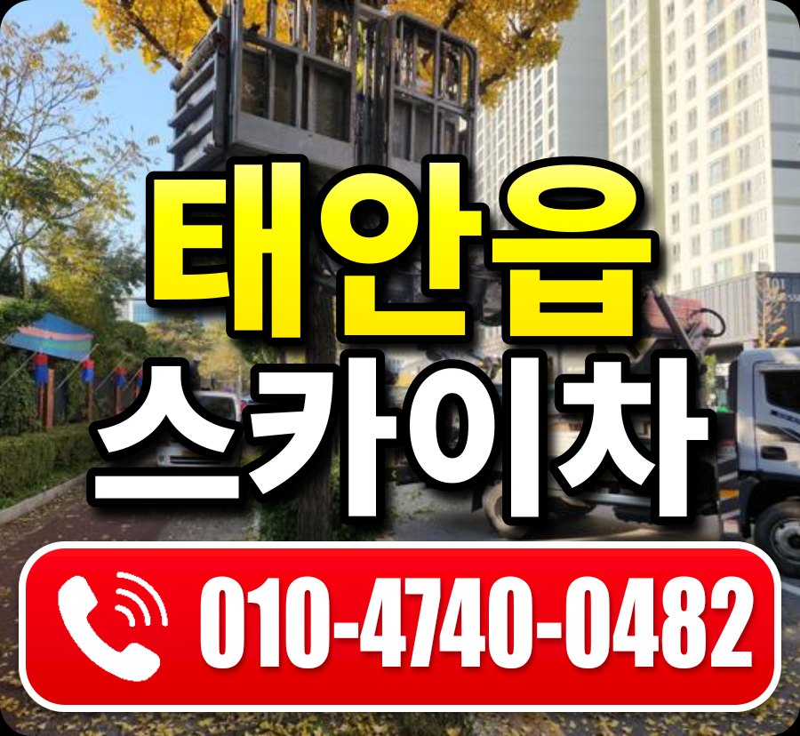 태안읍 스카이차 010-4740-0482