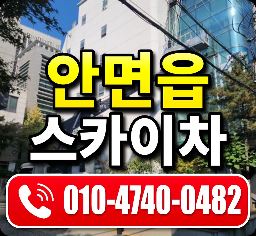안면읍 스카이차 010-4740-0482