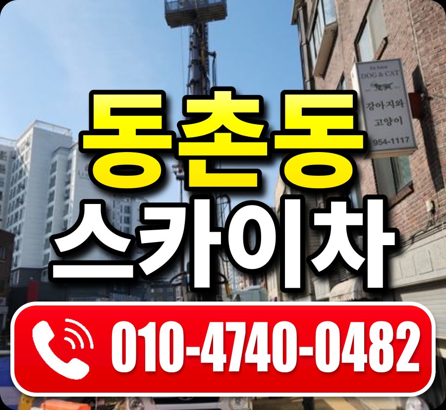 동촌동 스카이차 010-4740-0482
