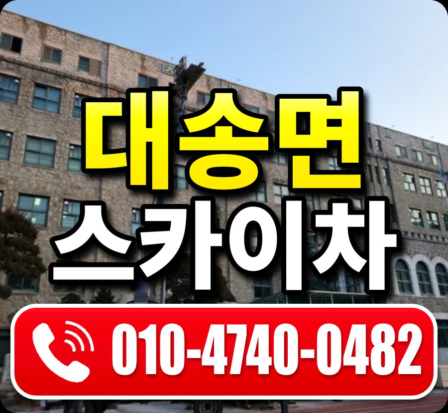 대송면 스카이차 010-4740-0482