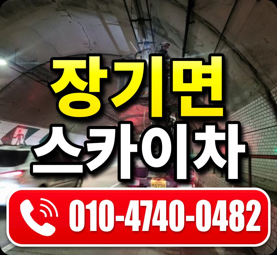 장기면 스카이차 010-4740-0482