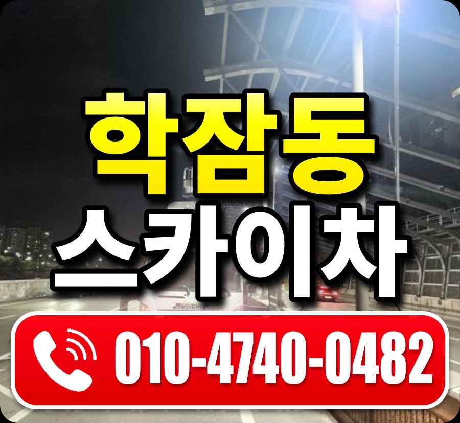 학잠동 스카이차 010-4740-0482