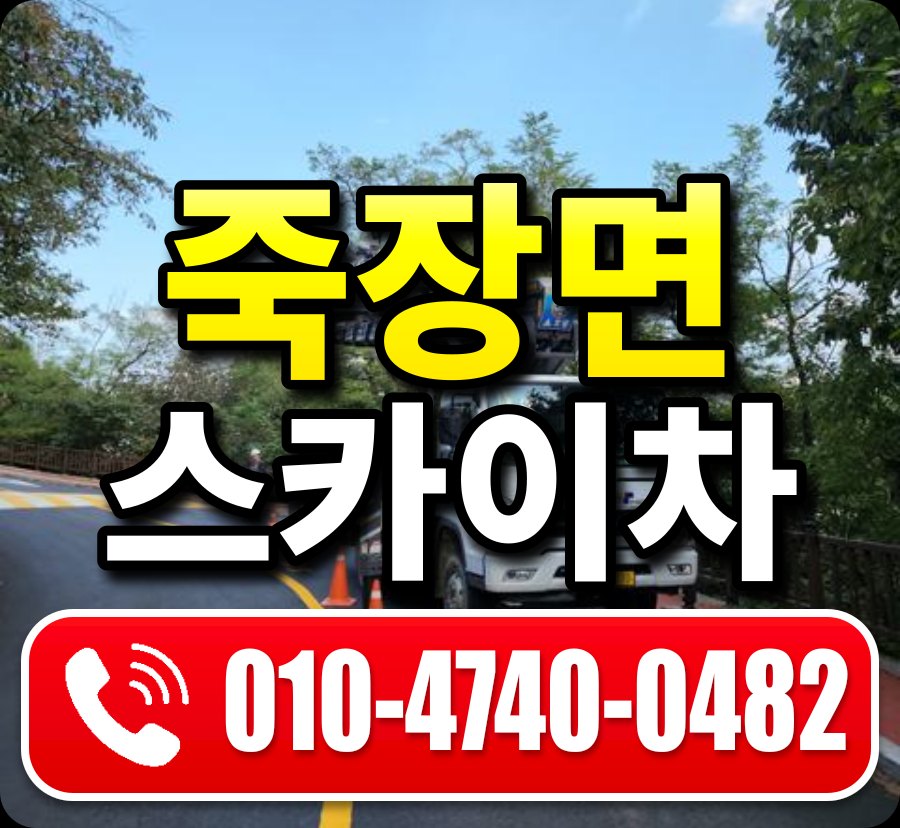 죽장면 스카이차 010-4740-0482