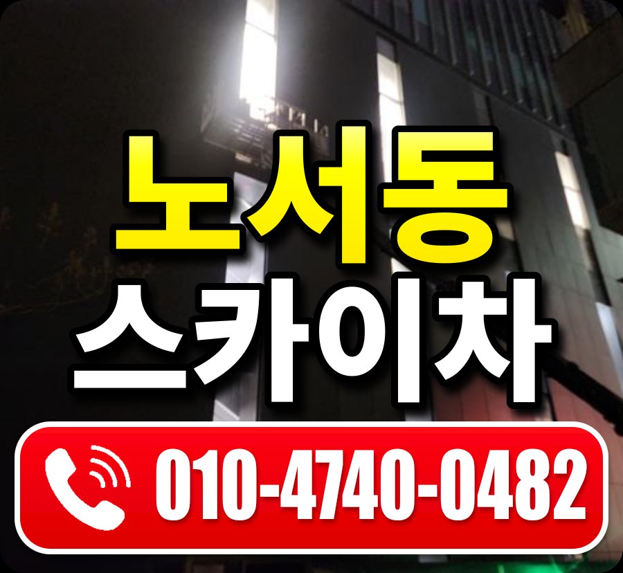 노서동 스카이차 010-4740-0482