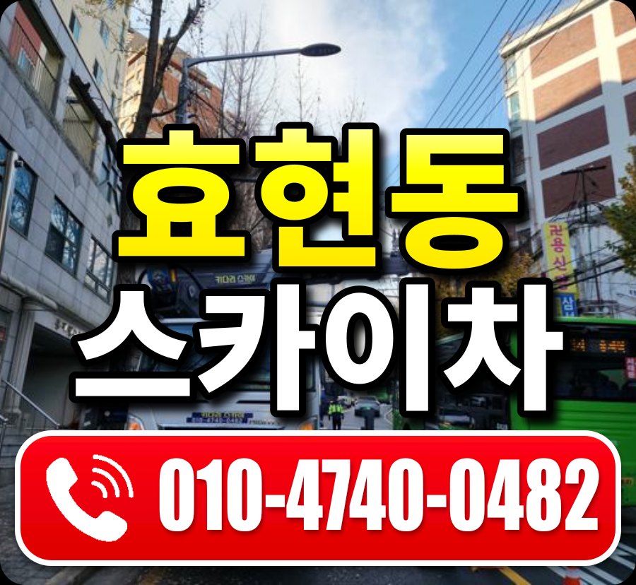 효현동 스카이차 010-4740-0482
