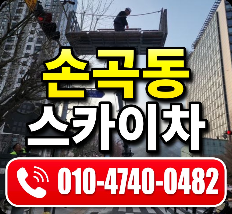 손곡동 스카이차 010-4740-0482