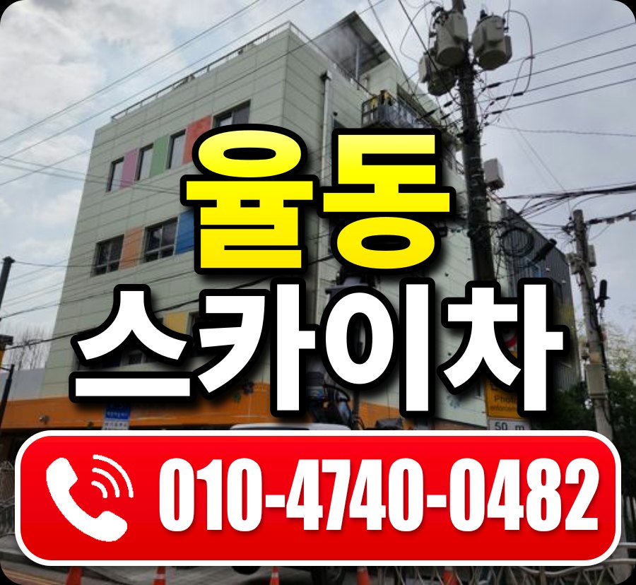 율동 스카이차 010-4740-0482