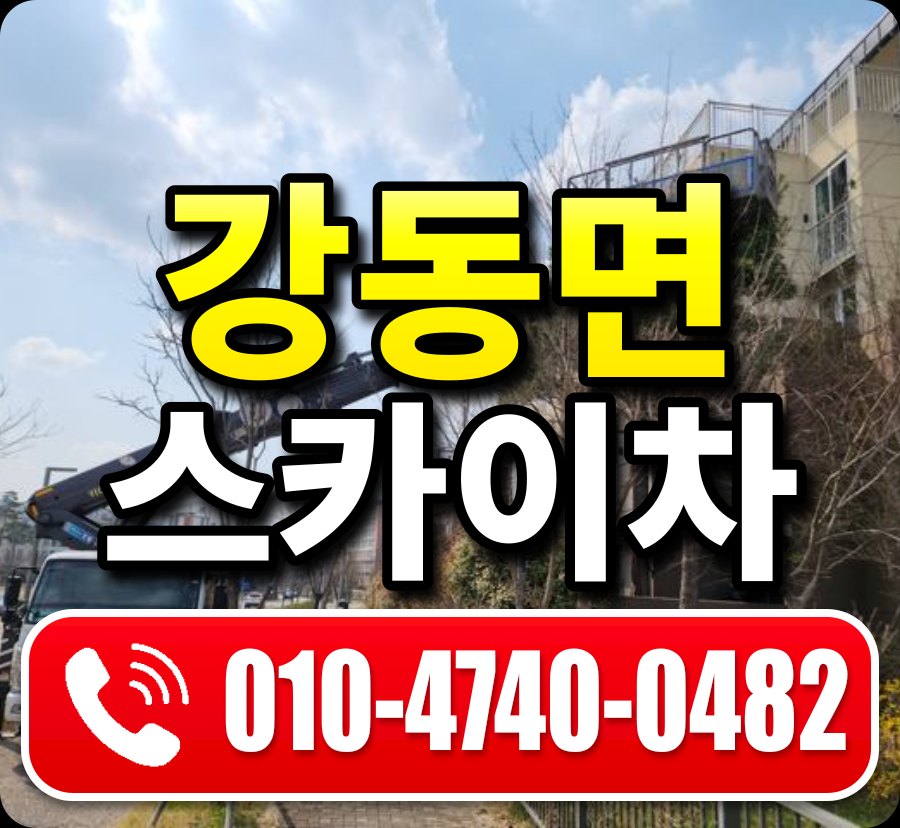 강동면 스카이차 010-4740-0482
