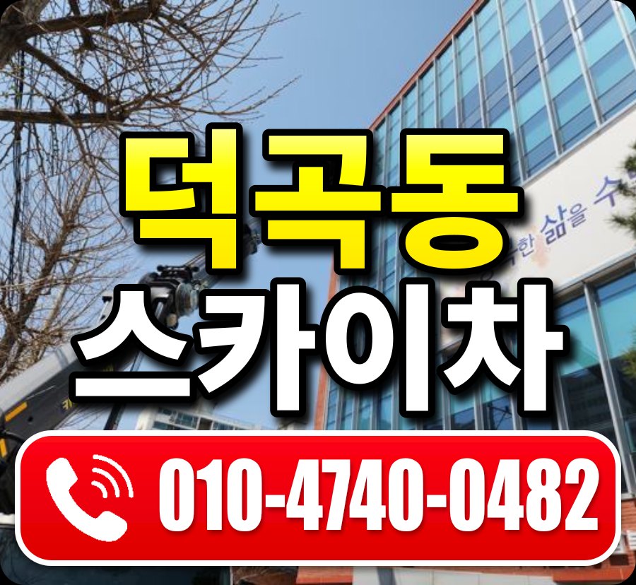 덕곡동 스카이차 010-4740-0482