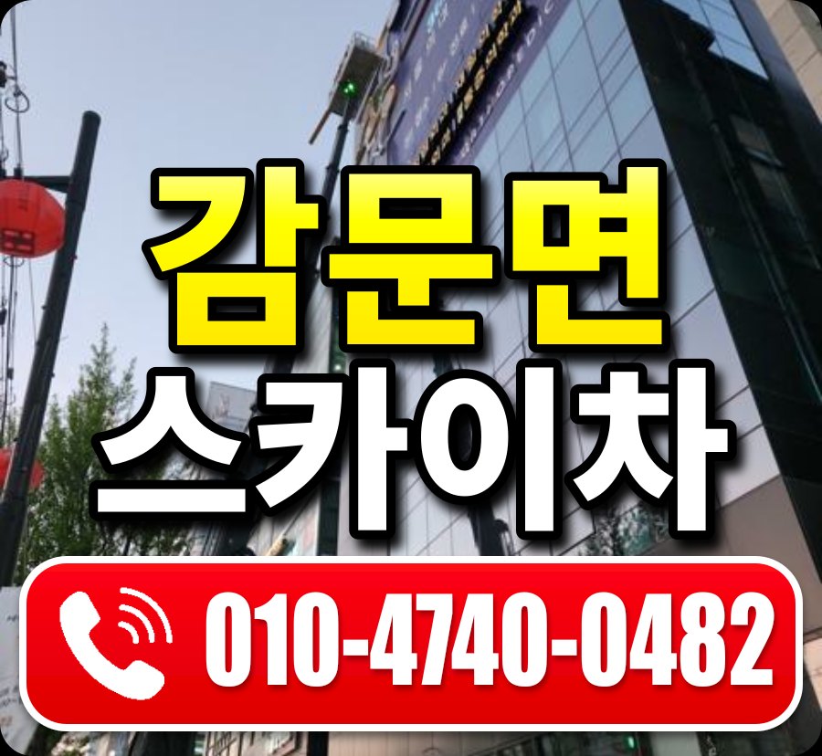 감문면 스카이차 010-4740-0482
