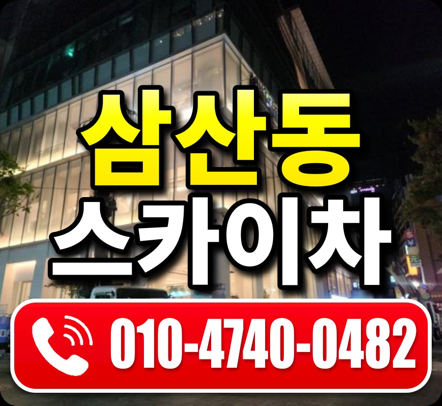 삼산동 스카이차 010-4740-0482