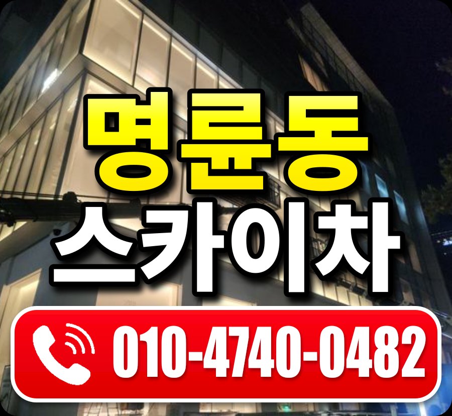 명륜동 스카이차 010-4740-0482