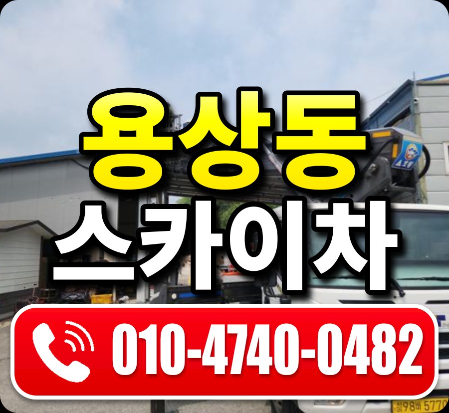 용상동 스카이차 010-4740-0482