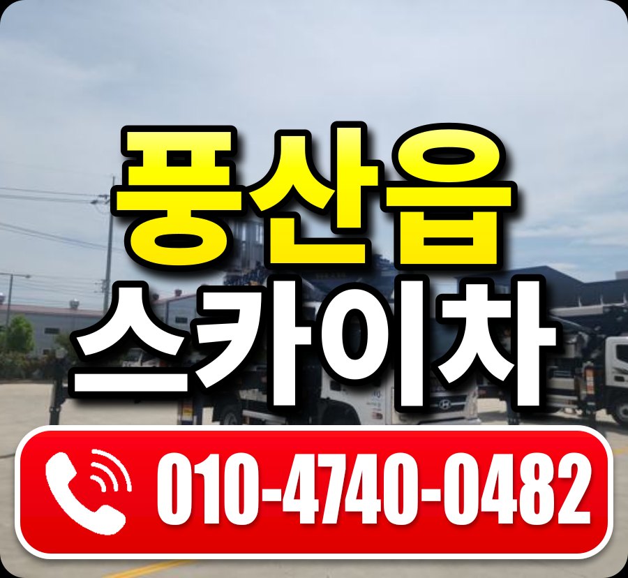 풍산읍 스카이차 010-4740-0482