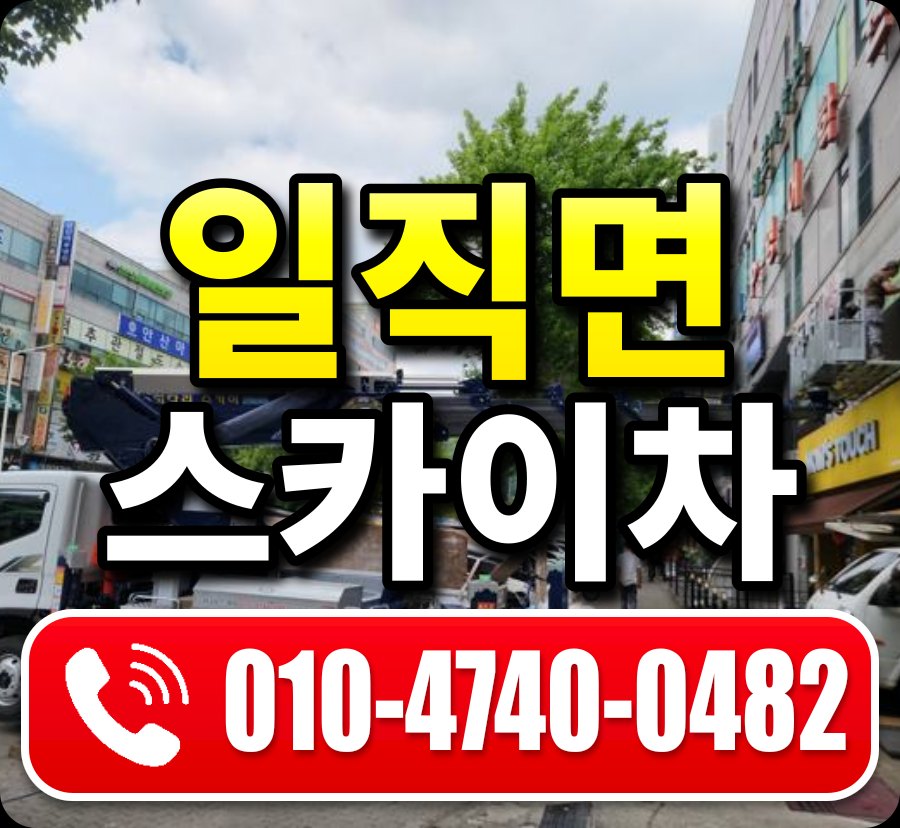 일직면 스카이차 010-4740-0482