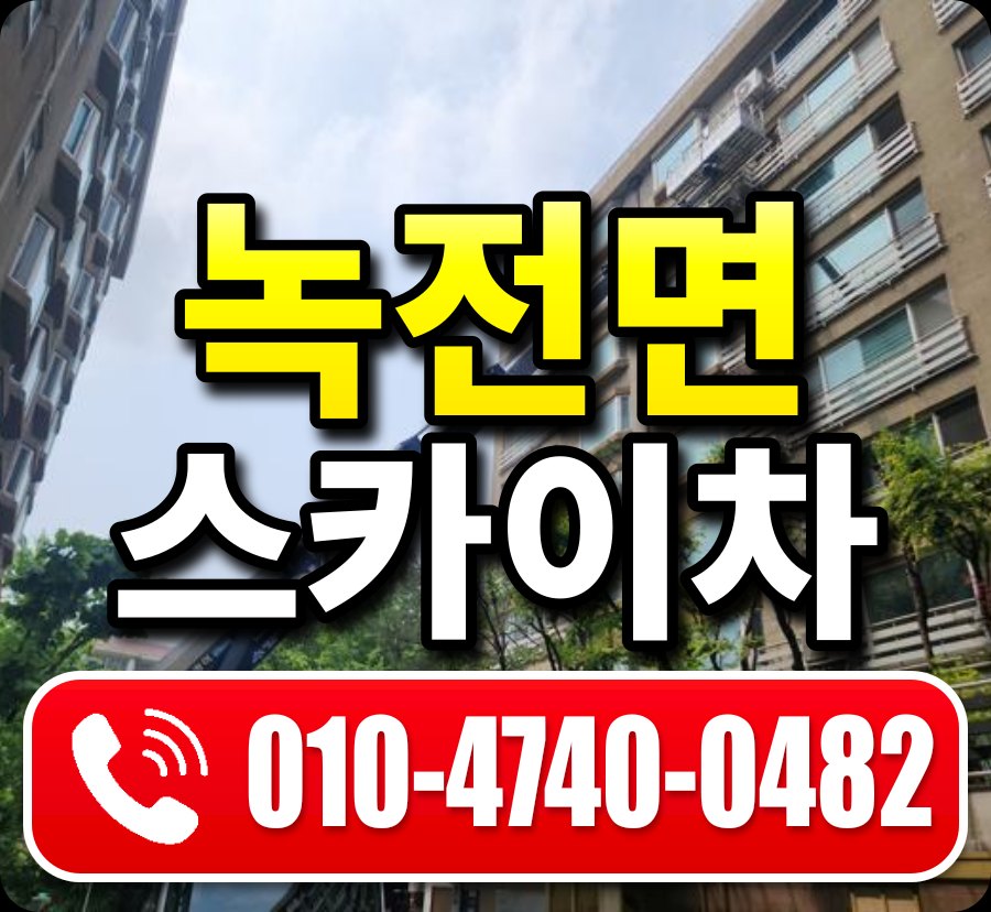 녹전면 스카이차 010-4740-0482