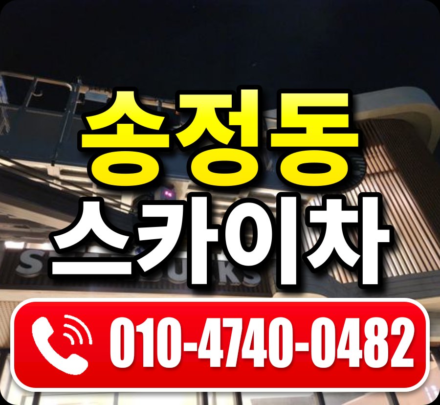 송정동 스카이차 010-4740-0482