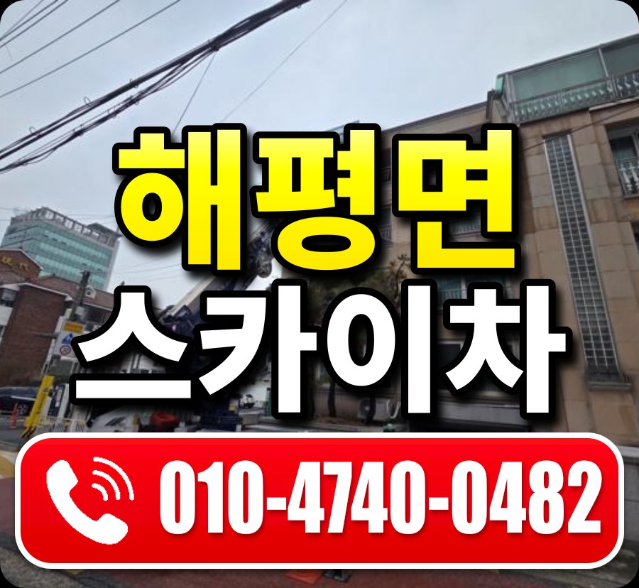 해평면 스카이차 010-4740-0482