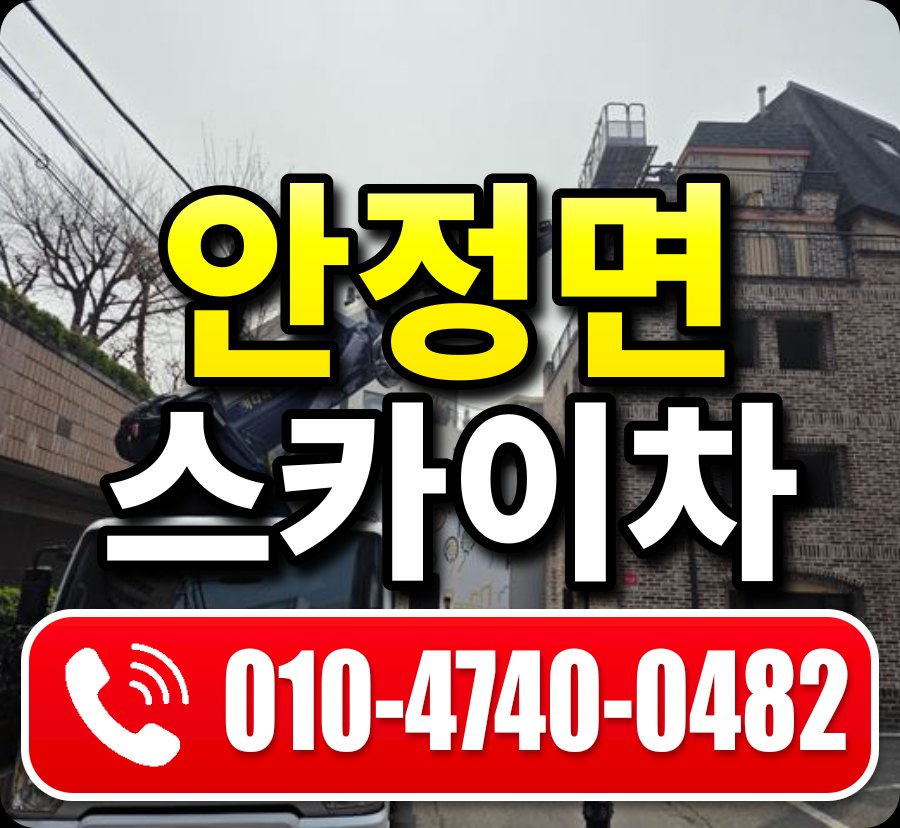 안정면 스카이차 010-4740-0482