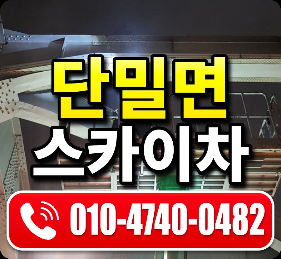 단밀면 스카이차 010-4740-0482