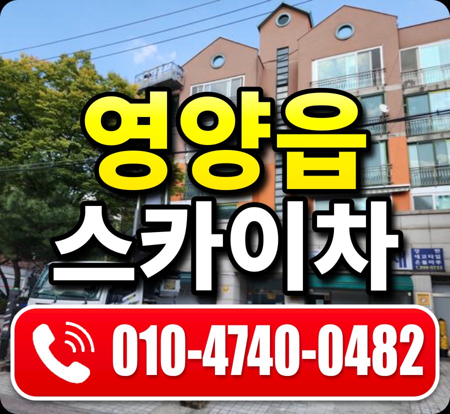 영양읍 스카이차 010-4740-0482