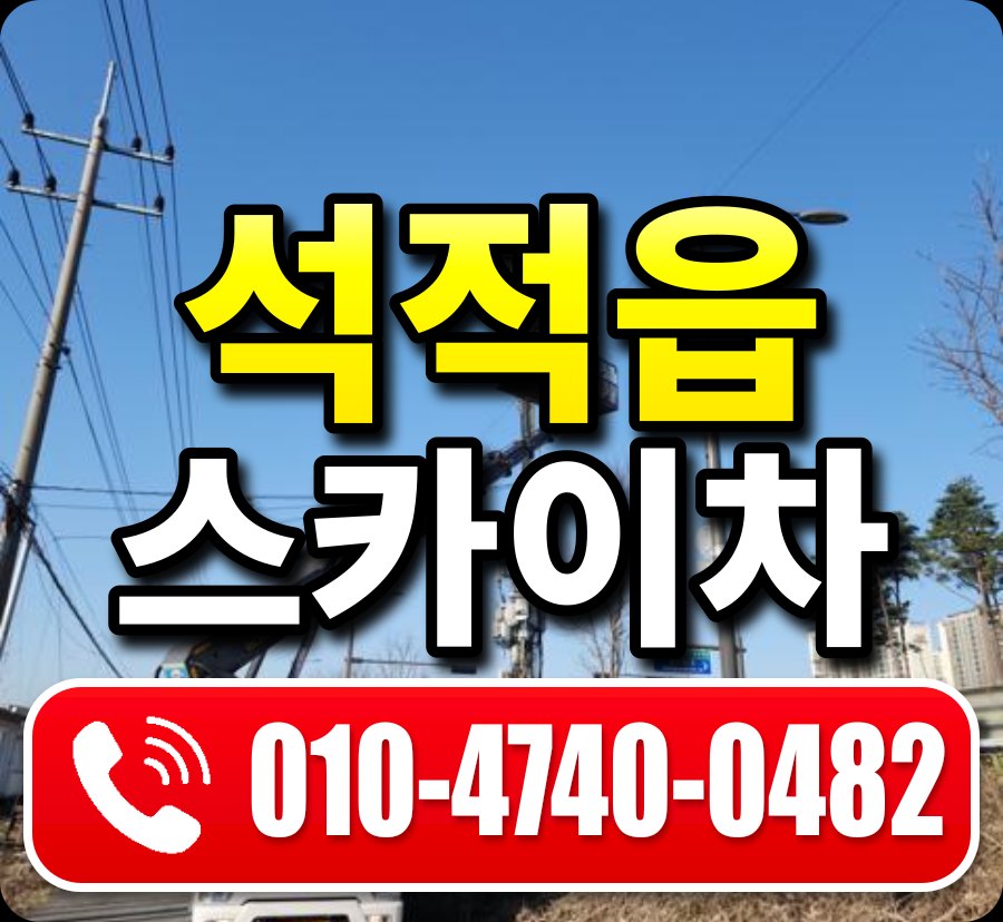 석적읍 스카이차 010-4740-0482