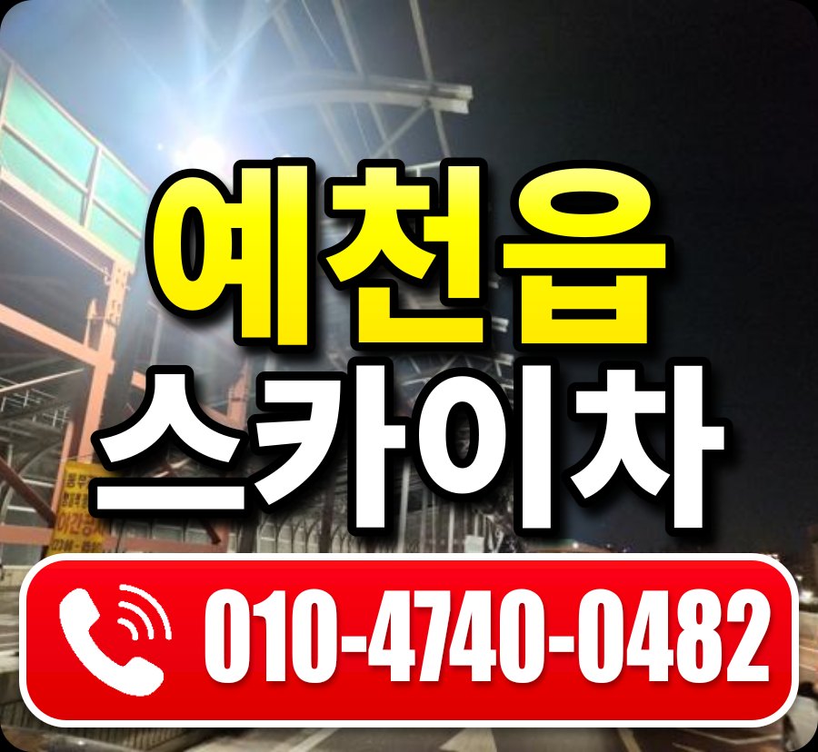 예천읍 스카이차 010-4740-0482