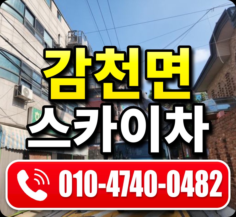 감천면 스카이차 010-4740-0482