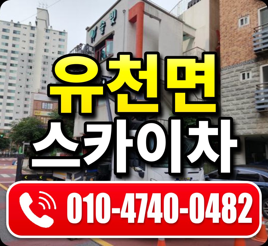 유천면 스카이차 010-4740-0482