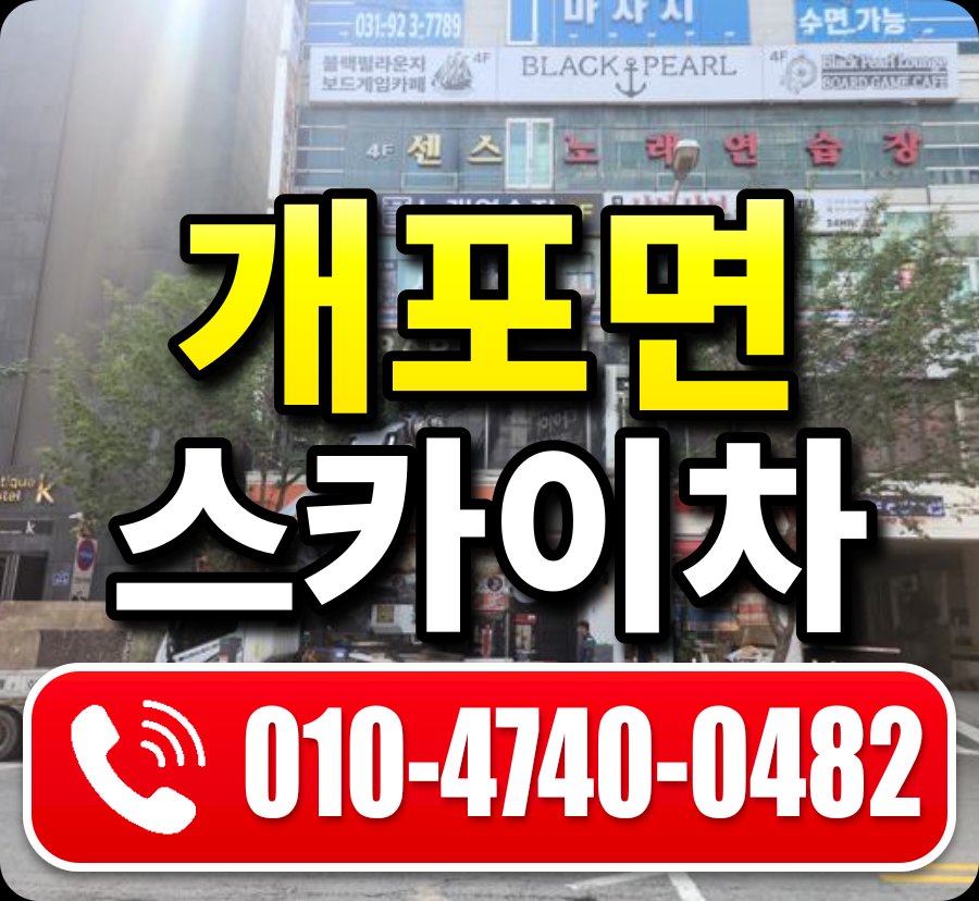 개포면 스카이차 010-4740-0482