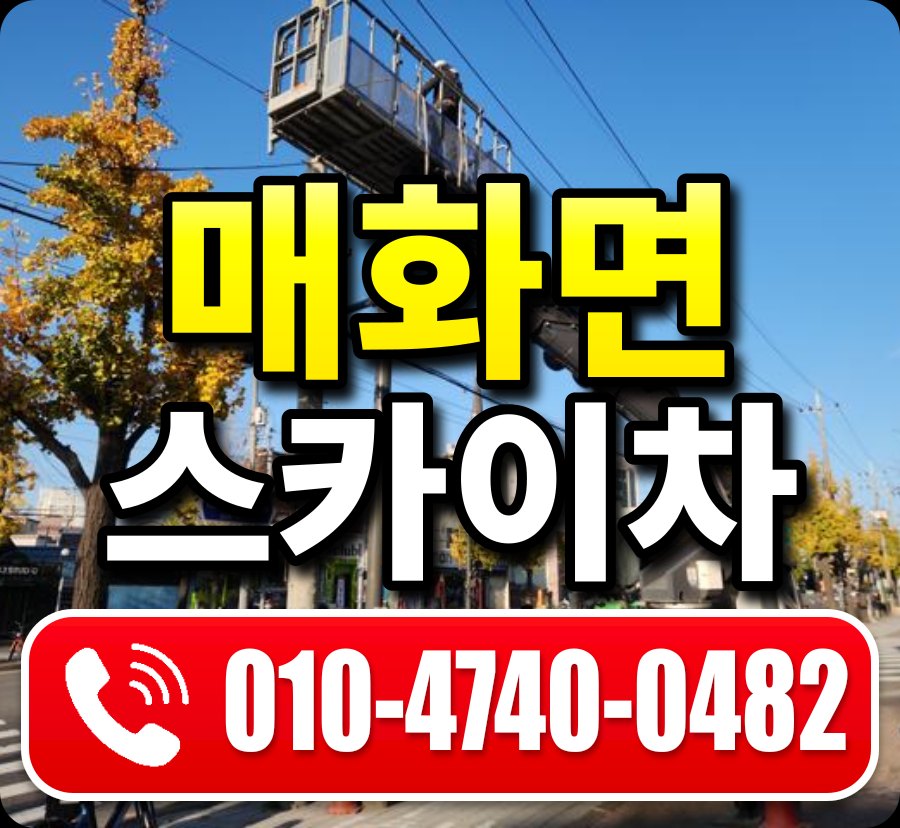 매화면 스카이차 010-4740-0482