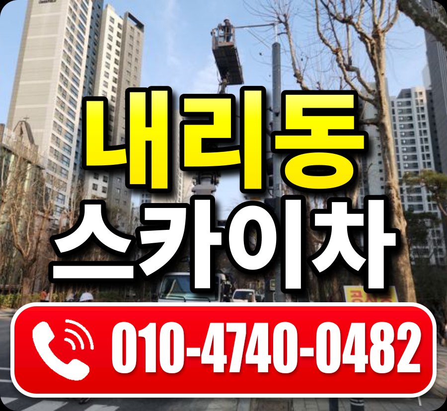 내리동 스카이차 010-4740-0482