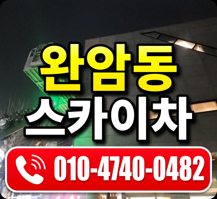 완암동 스카이차 010-4740-0482