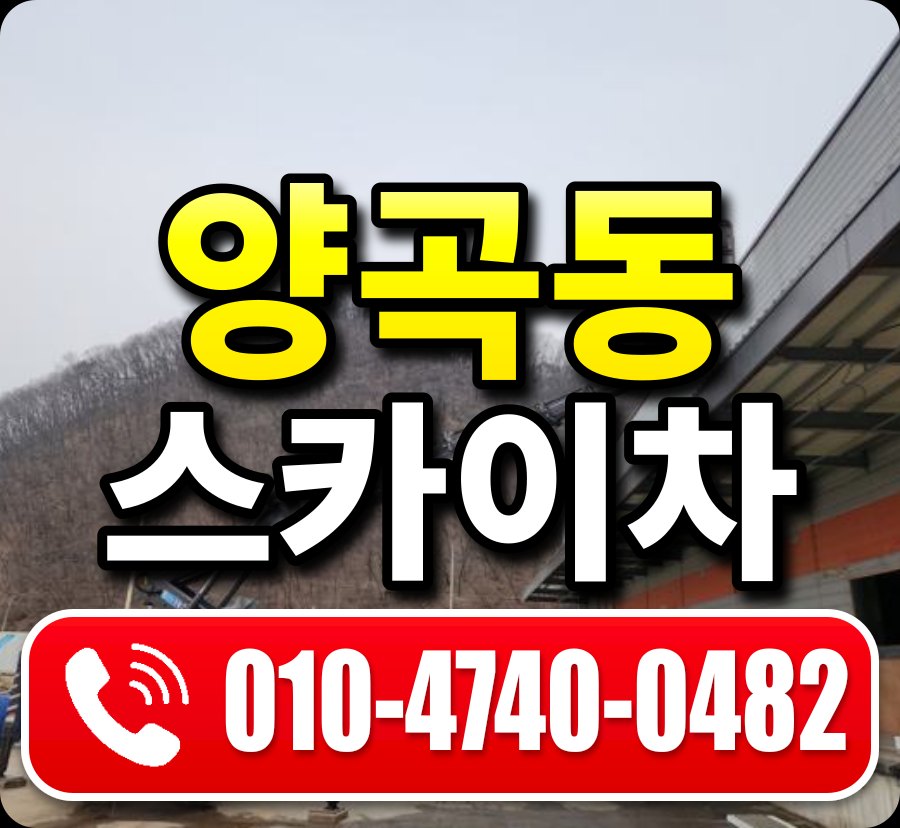 양곡동 스카이차 010-4740-0482