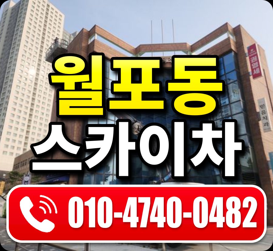 월포동 스카이차 010-4740-0482