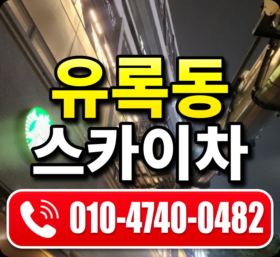유록동 스카이차 010-4740-0482