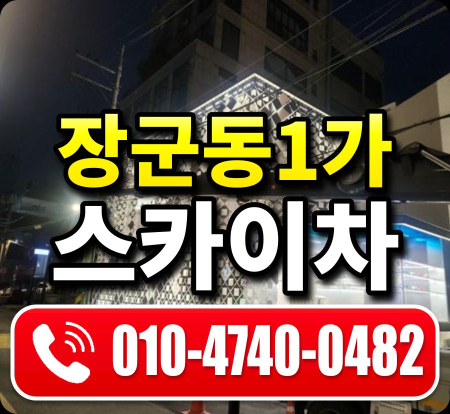 장군동1가 스카이차 010-4740-0482